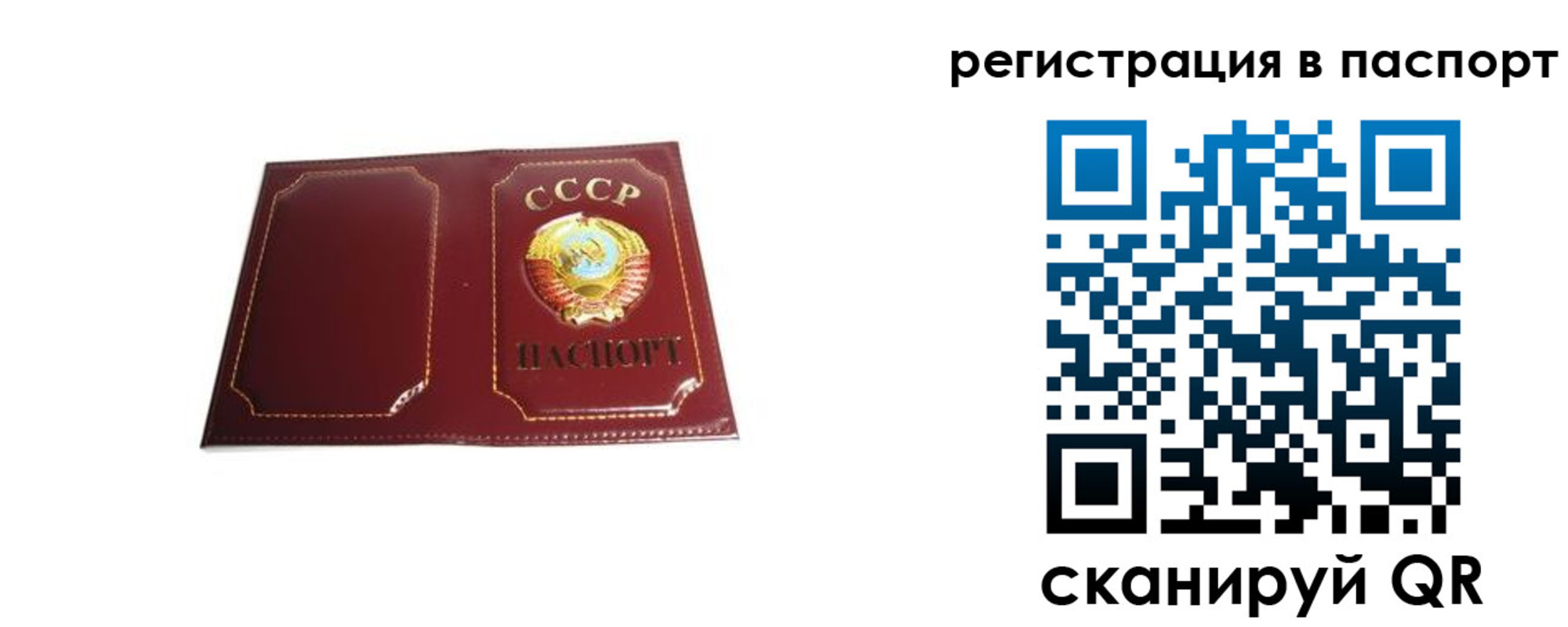 прописка 2025 в Ставропольском крае